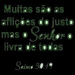versículos 