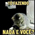 TO FAZENDO NADA E VOCÊ?