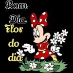 amizade