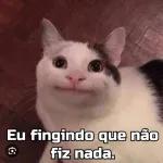 Gatos