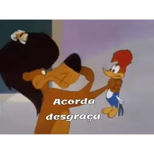 JNYYTj
