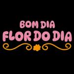 Roboão 