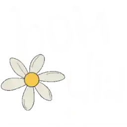 feliz aniversário 🥳🎂