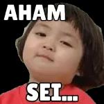 aham sei