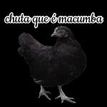 roubei do insano