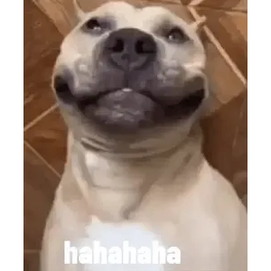 SLIfni