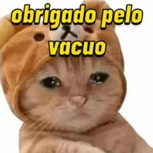 DsZuYY