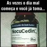 BOA NOITE! BOM DIA! SEI LÁ Alguém têm boldo?