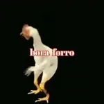 bora forro