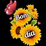 Bom
dia