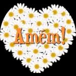 201 M Amem!