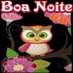 boa noite