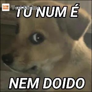 TU NUM É NEM DOIDO - getsticker.com