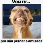 bebê