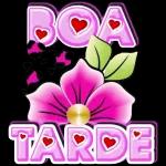 boa tarde