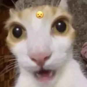 ltzrdE