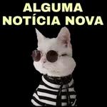 Descupa a demora Tava ocupado