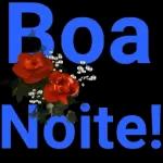 BOA
NOITE
