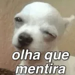 socializar? nada a ver, eu vo eh dormir
