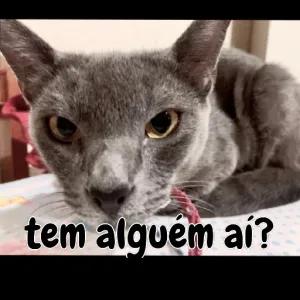 0prA7L