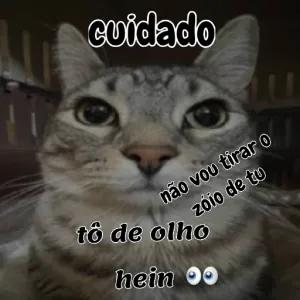 OVisow