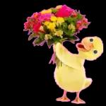 I love you