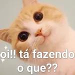 oii oii