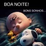 BOA NOITE 