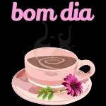 bom dia
