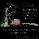 sorria todos os dias 😊