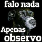 entendi foi nada