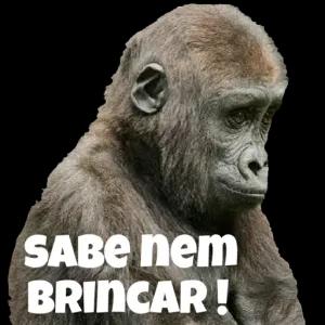 SABE nem BRINCAR ! - getsticker.com