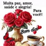 novo pacote KBM