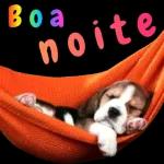 bom dia boa noite