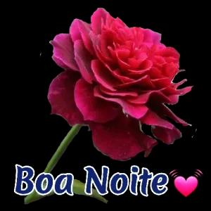 Boa Noite  - getsticker.com