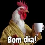 BOM DIA!