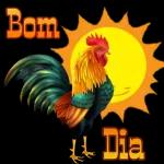 bom dia🌻