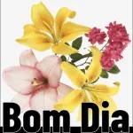 bom dia