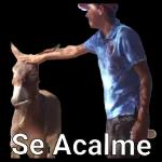 memes