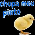 vai se lascar