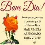 Boa
tarde