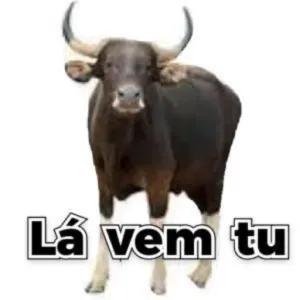 zcGEdD
