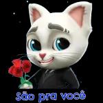 Gatos