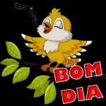 bom dia