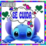 gatinho dançando