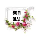boom dia