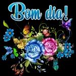 bom dia