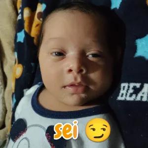 sei - getsticker.com