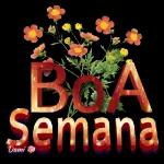 boa tarde