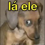 Aiiihh que fofinhoo